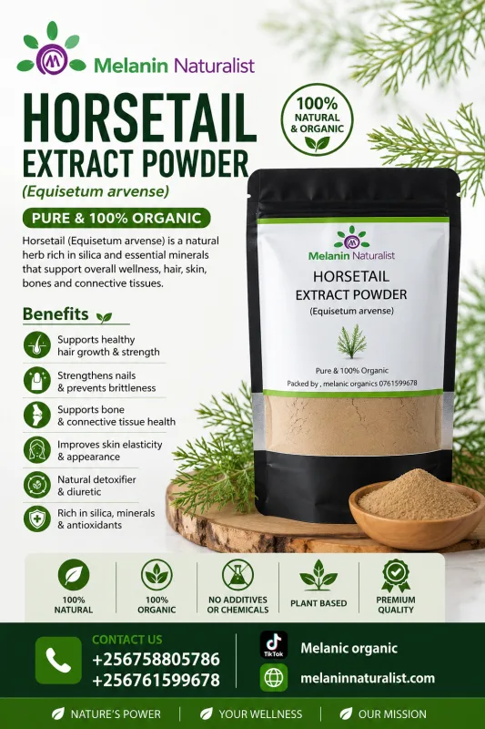 HORSE TAIL EXTRACT POWDER |100gms