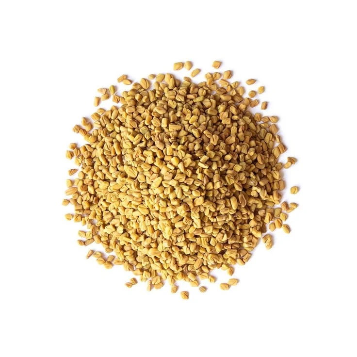 FENUGREEK SEEDS