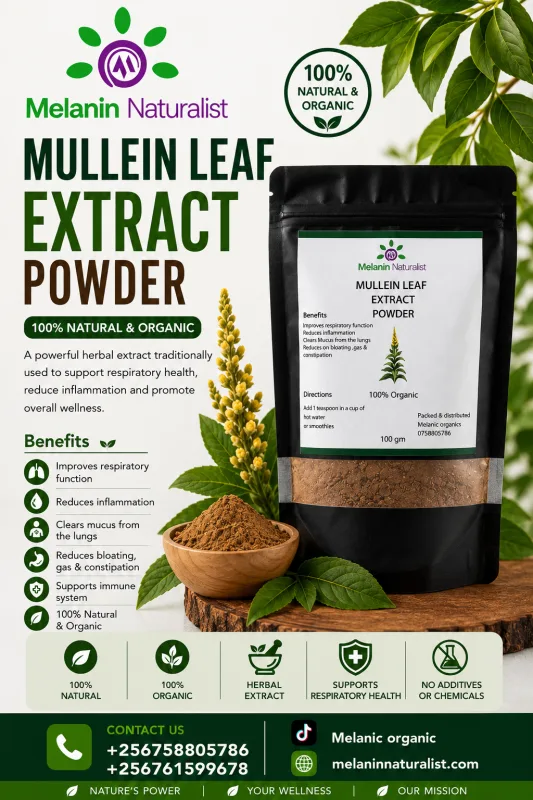MULLEIN LEAF  EXTRACT POWDER