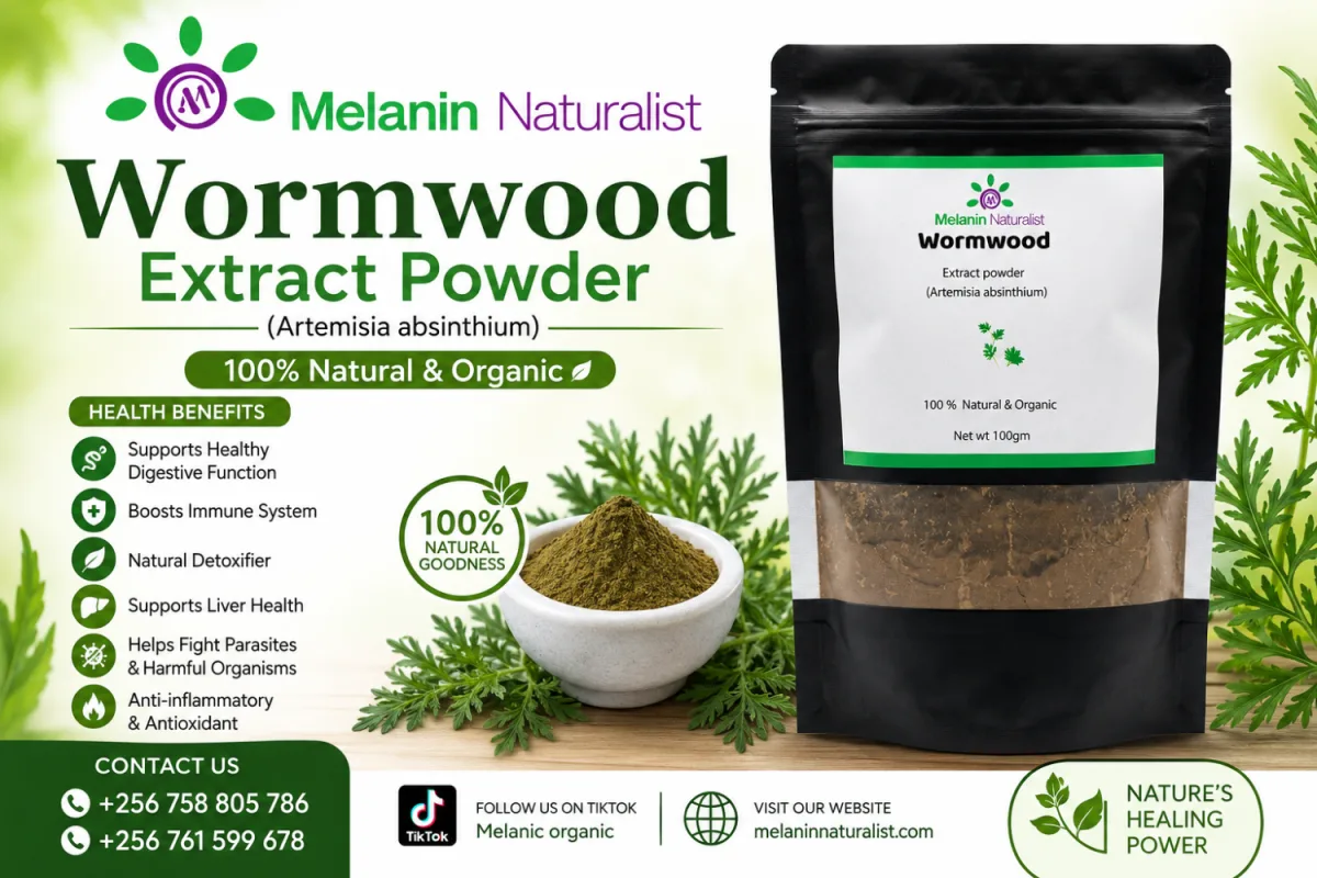 WORMWOOD EXTRACT POWDER